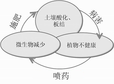 化肥不等于科學(xué)，請(qǐng)客觀評(píng)判！